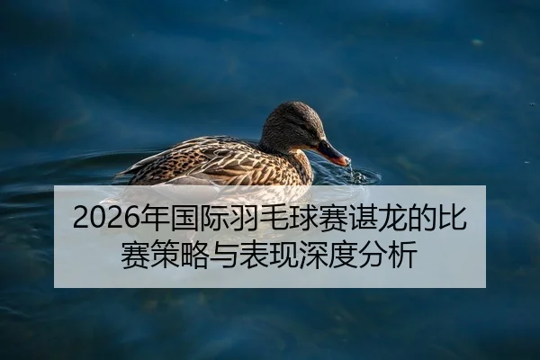 2026年国际羽毛球赛谌龙的比赛策略与表现深度分析