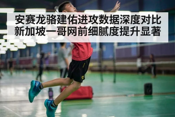 安赛龙骆建佑进攻数据深度对比 新加坡一哥网前细腻度提升显著