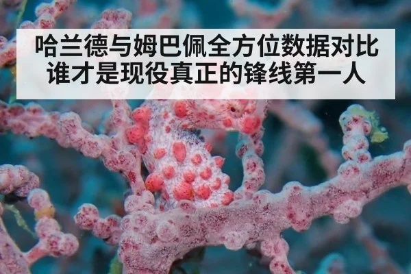 哈兰德与姆巴佩全方位数据对比 谁才是现役真正的锋线第一人